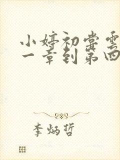 小婷初尝云雨第一章到第四章
