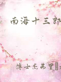 南海十三郎小说