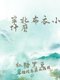 宁北布衣小说叫什么