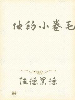 他的小卷毛