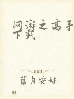 网游之高手寂寞下载