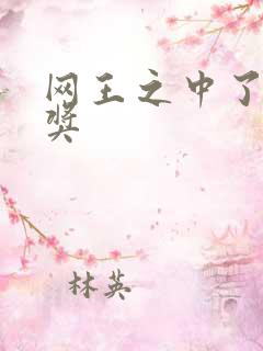 网王之中了特等奖