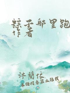 粽子哪里跑小说作者