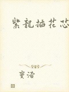 紫龙插花芯方正