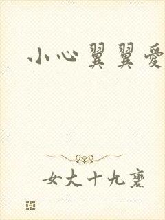 小心翼翼爱上你