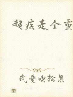 超疾走全灵兵器