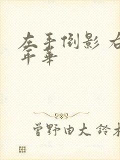 左手倒影 右手年华