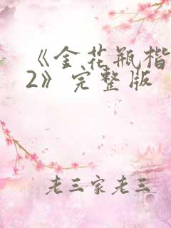《金花瓶楷梅花2》完整版