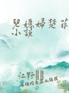 儿媳妇楚菲菲的小说