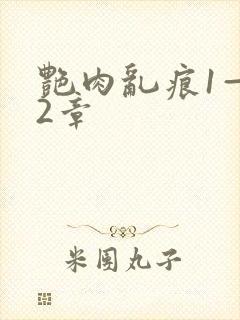 艳肉乱痕1—12章