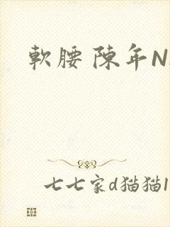 软腰 陈年NP