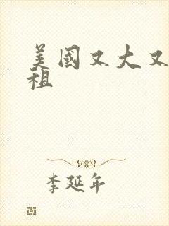 美国又大又长又租