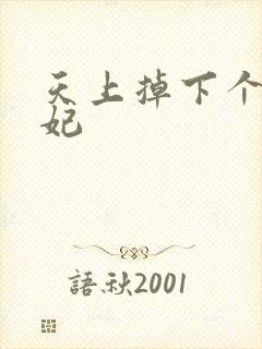 天上掉下个奇王妃