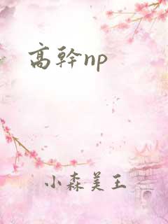 高干np