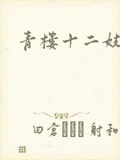 青楼十二妓