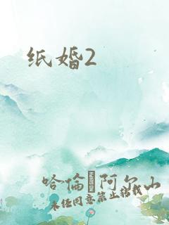 纸婚2