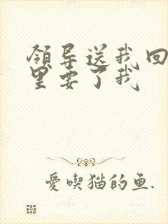 领导送我回家车里要了我