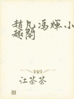 赵凡冯辉小说笔趣阁