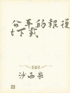 公平的报复txt下载