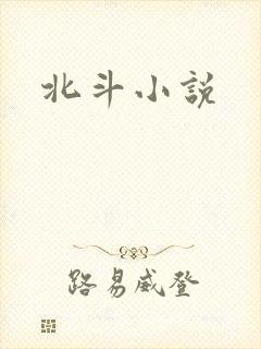北斗小说