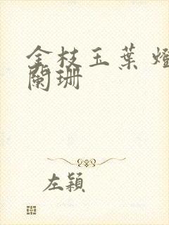 金枝玉叶 灯火阑珊