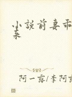 小说前妻乖乖回来