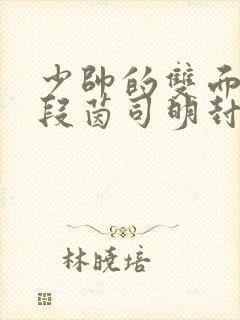 少帅的双面宠妻段茵司明封免费