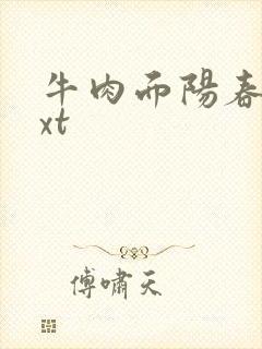 牛肉面阳春面txt