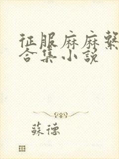 征服麻麻系列大合集小说