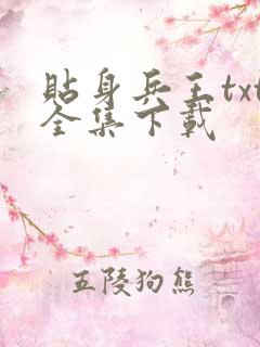 贴身兵王txt全集下载