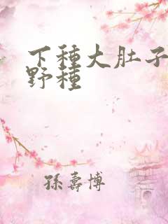 下种大肚子怀孕野种