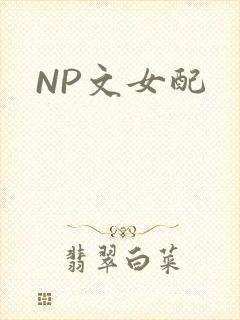 NP文女配