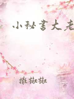 小秘书大老婆