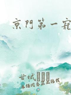 京门第一宠