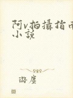 阿v拍摄指南说小说