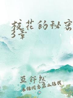 校花的秘密第23章