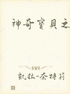 神奇宝贝之一辉