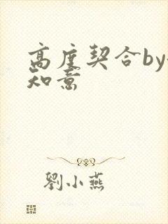 高度契合by洛知意