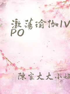 激荡瑜伽1V2PO