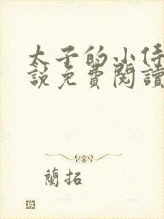 太子的小侍妾小说免费阅读全文