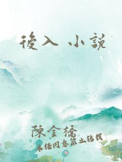后入 小说