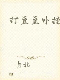 打豆豆外挂