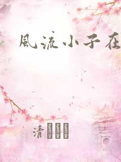 风流小子在异世