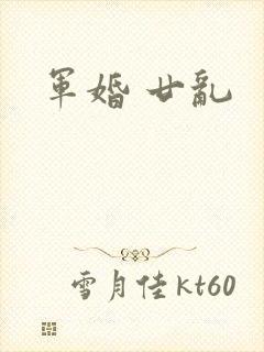 军婚 廿乱