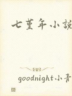 七堇年小说下载