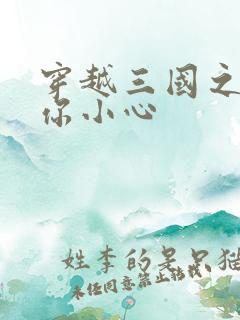 穿越三国之孔明你小心