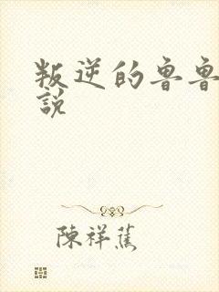 叛逆的鲁鲁修小说