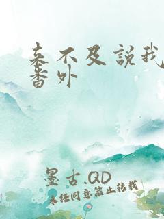 来不及说我爱你番外