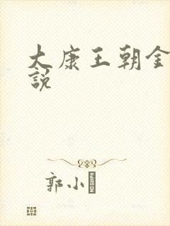 大康王朝金峰小说