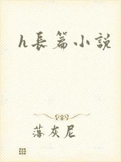 h长篇小说